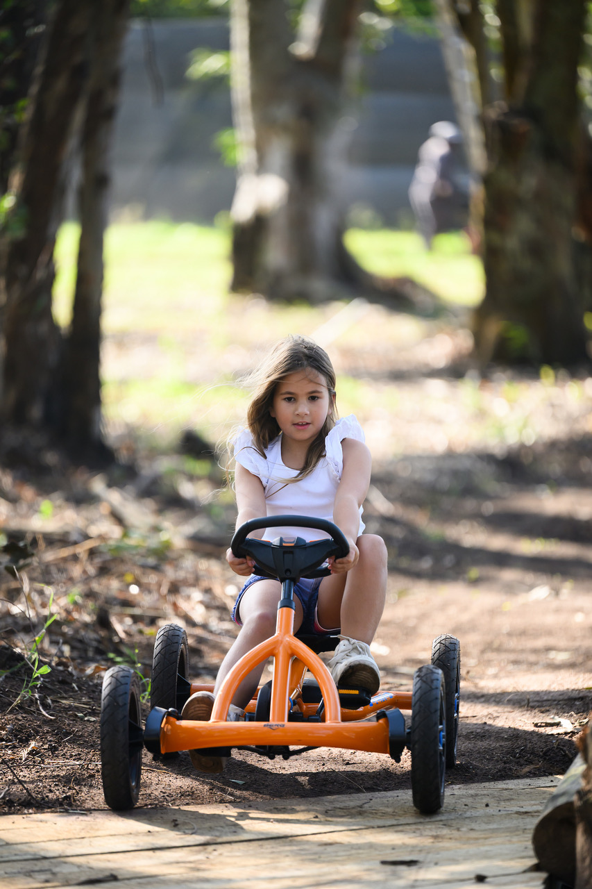 Pedal Carts